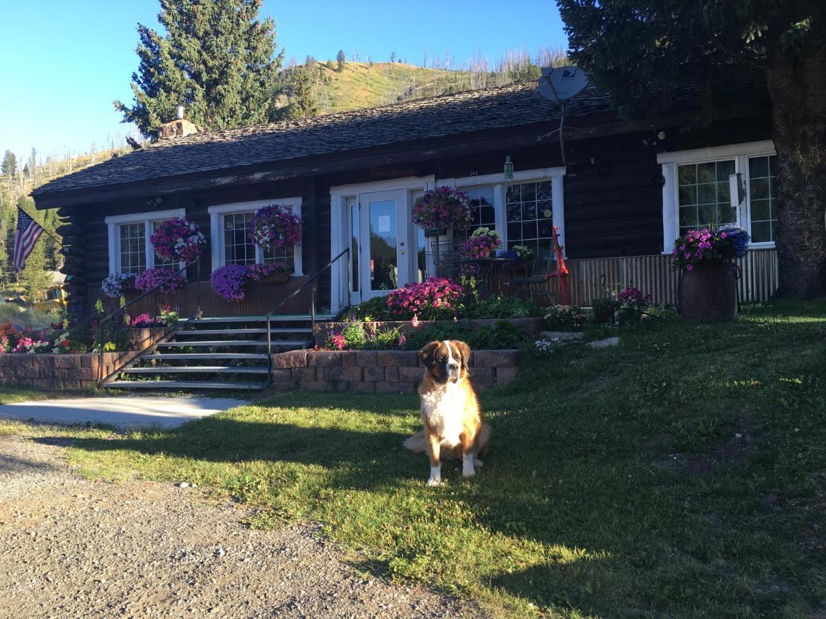 Antlers Lodge Cooke City Eksteriør bilde