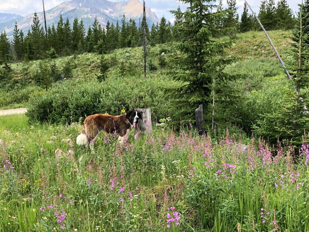 Antlers Lodge Cooke City Eksteriør bilde